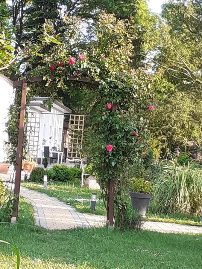 Ferienhaus Ciara Lägenhet Splietsdorf Exteriör bild