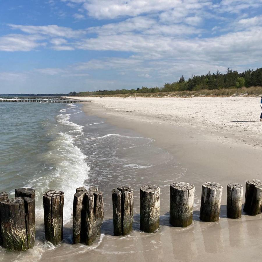 Ferienhaus Ciara Lägenhet Splietsdorf Exteriör bild